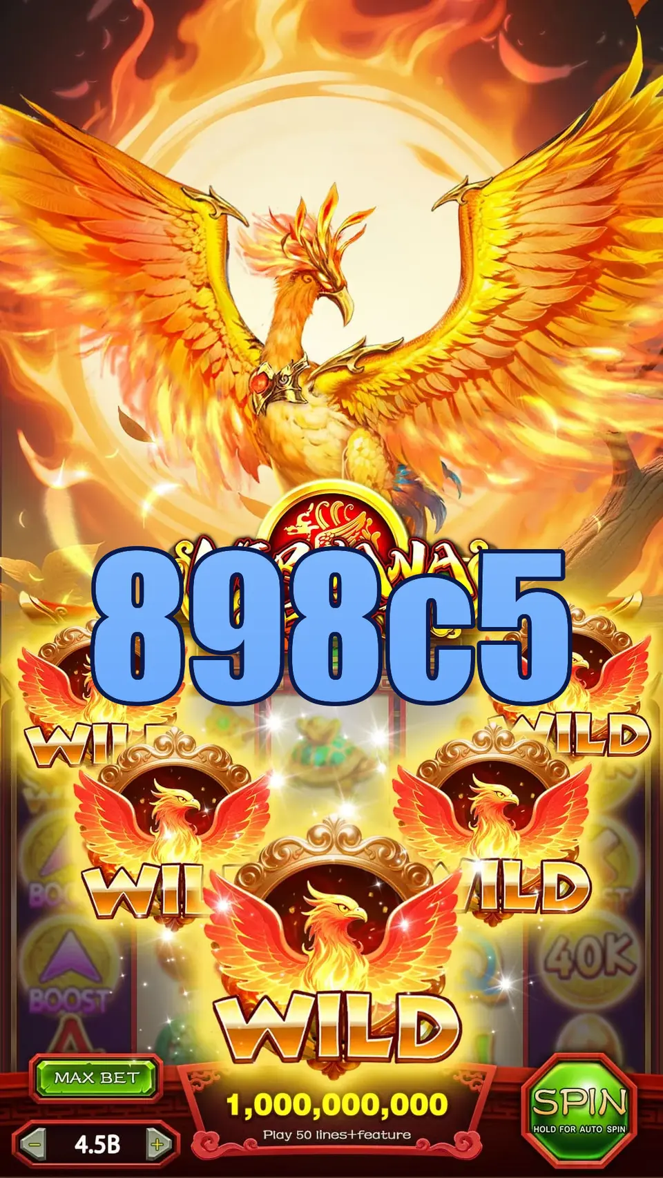 898c5 Preview